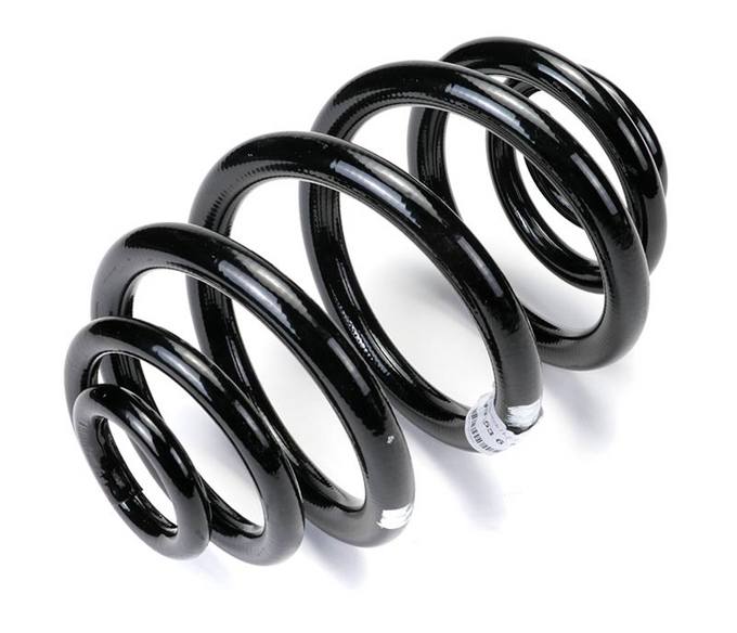 Coil Spring - Rear